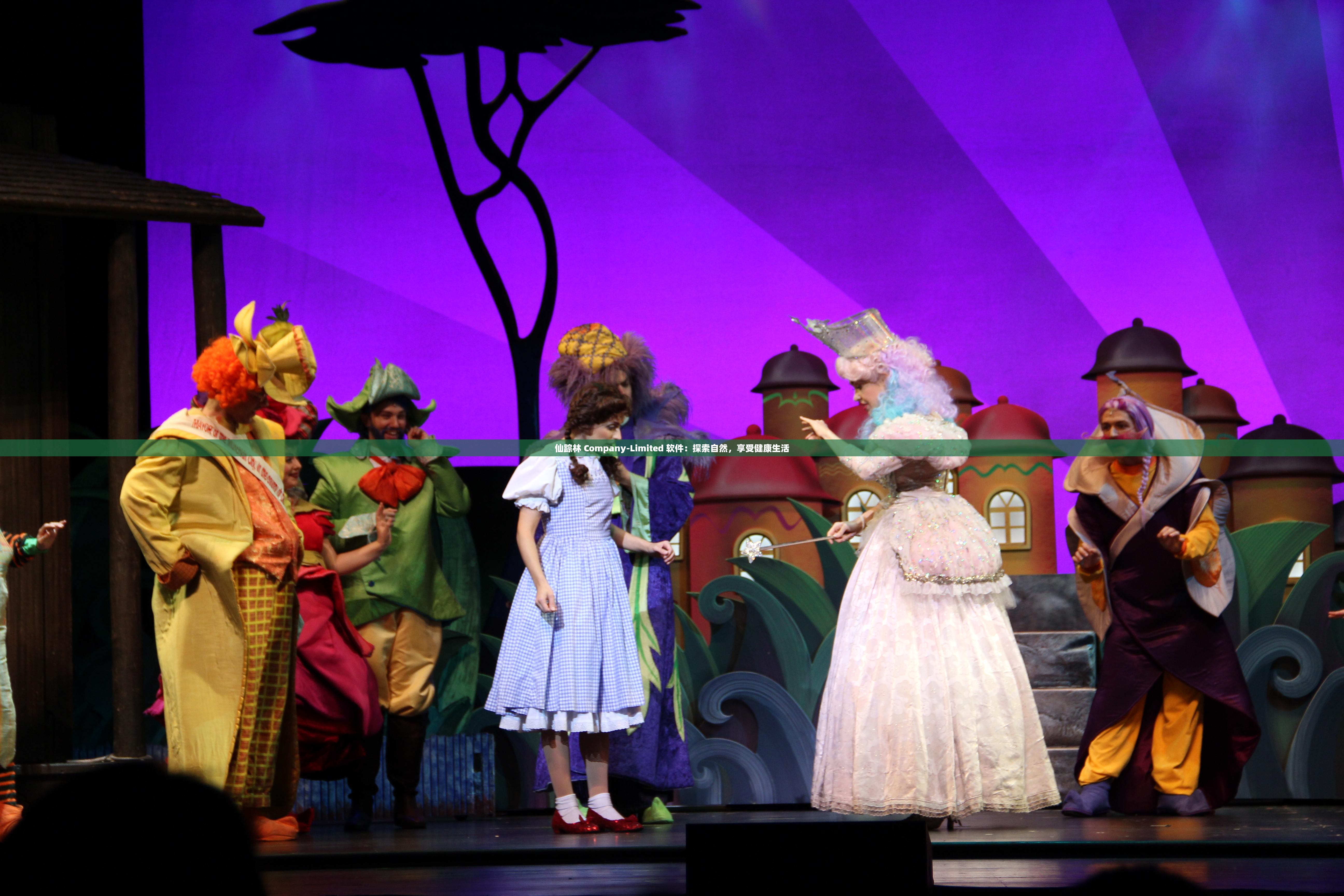 仙踪林 Company-Limited 软件：探索自然，享受健康生活