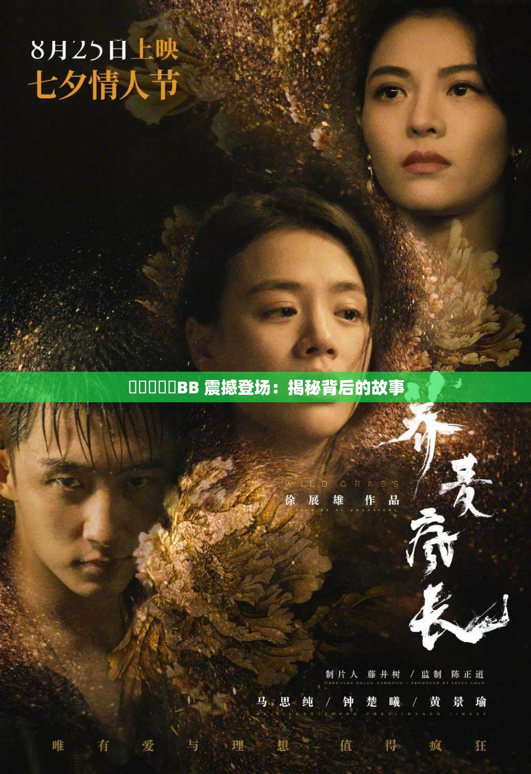 乂乂乂乂乂BB 震撼登场：揭秘背后的故事