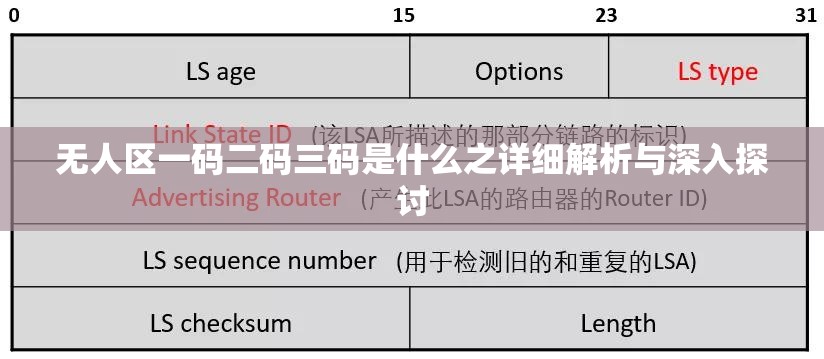 无人区一码二码三码是什么之详细解析与深入探讨