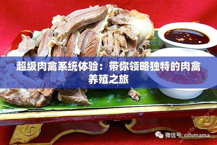 超级肉禽系统体验：带你领略独特的肉禽养殖之旅