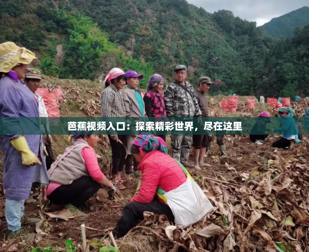 芭蕉视频入口：探索精彩世界，尽在这里