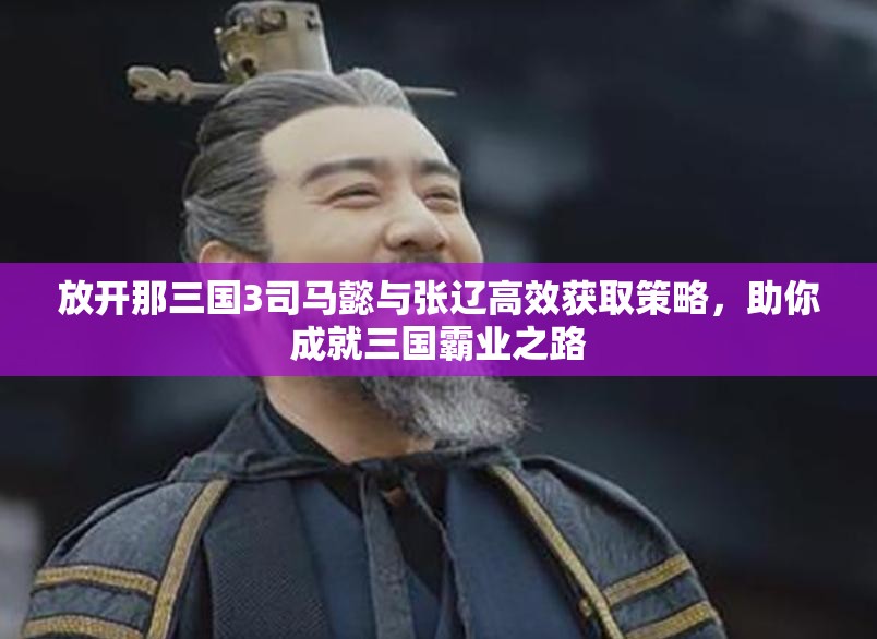 放开那三国3司马懿与张辽高效获取策略，助你成就三国霸业之路