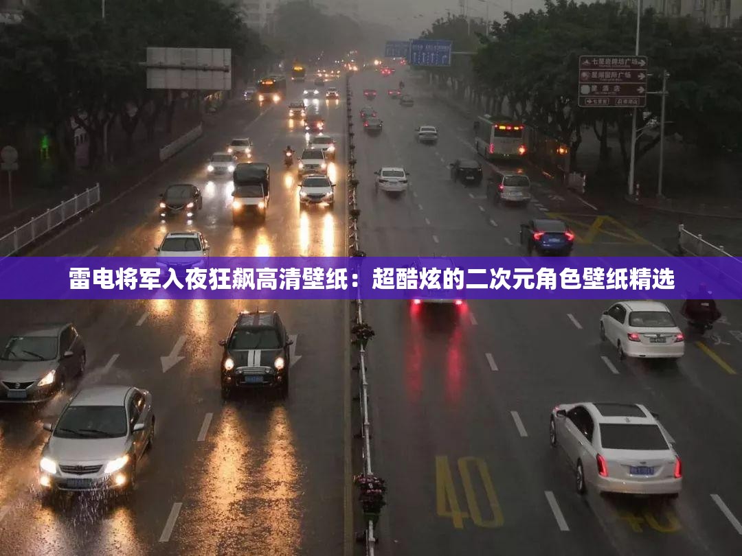 雷电将军入夜狂飙高清壁纸：超酷炫的二次元角色壁纸精选