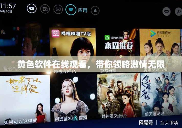 黄色软件在线观看，带你领略激情无限