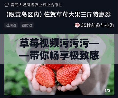 草莓视频污污污——带你畅享极致感官盛宴
