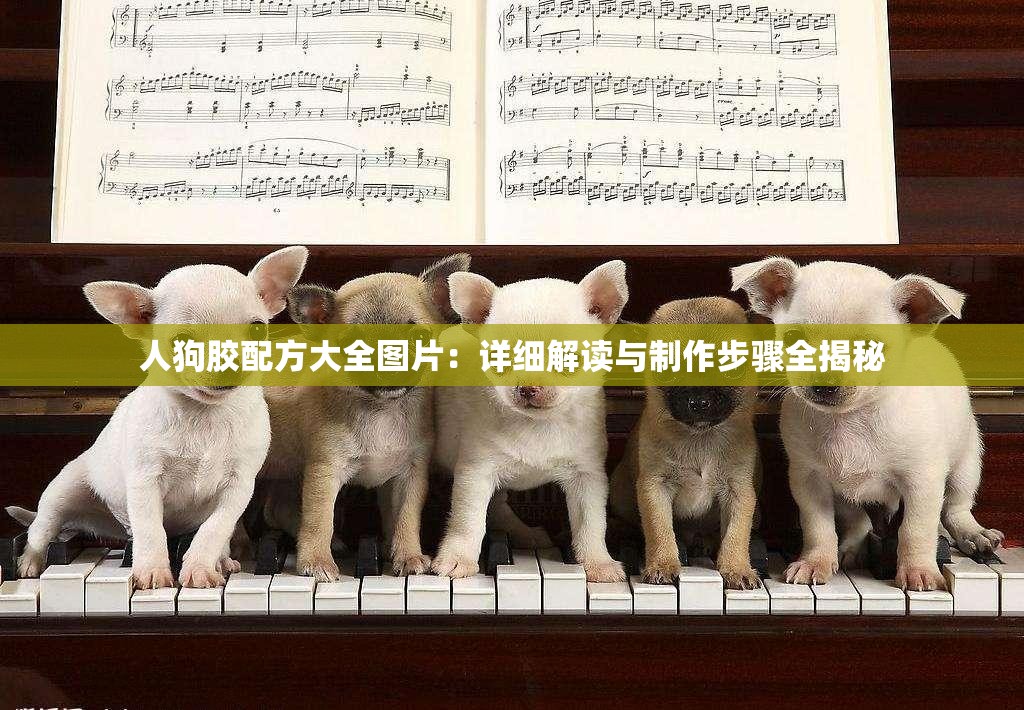 人狗胶配方大全图片：详细解读与制作步骤全揭秘