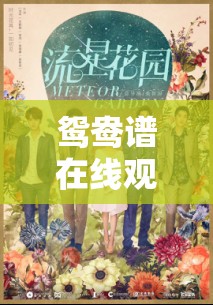 鸳鸯谱在线观看高清：带你领略经典爱情故事的魅力