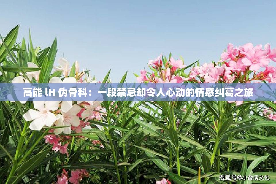 高能 lH 伪骨科：一段禁忌却令人心动的情感纠葛之旅