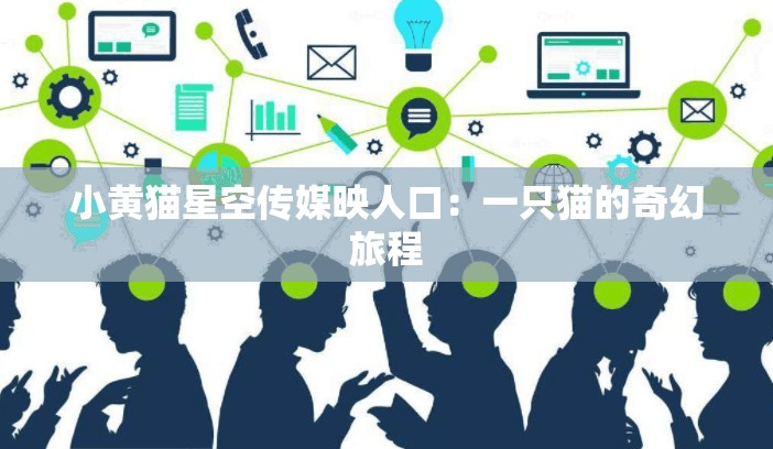 小黄猫星空传媒映人口：一只猫的奇幻旅程