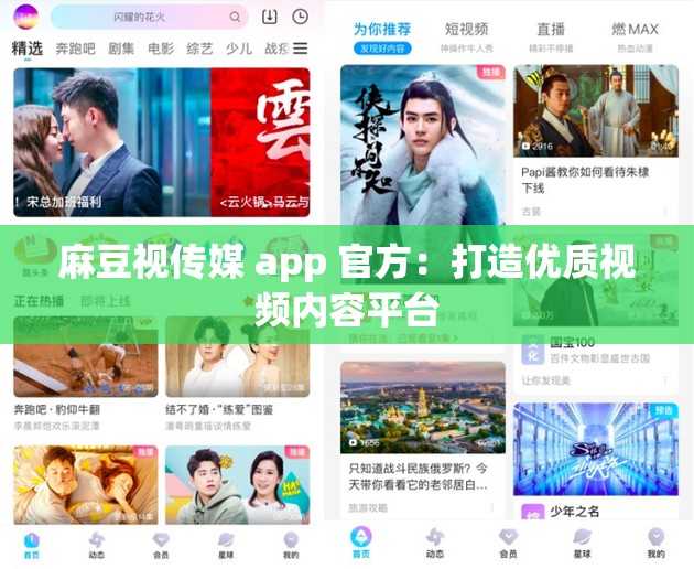 麻豆视传媒 app 官方：打造优质视频内容平台