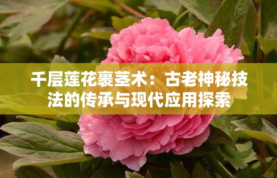 千层莲花裹茎术：古老神秘技法的传承与现代应用探索