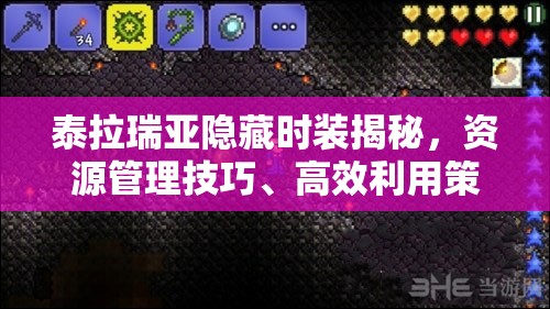 泰拉瑞亚隐藏时装揭秘，资源管理技巧、高效利用策略及避免浪费方法