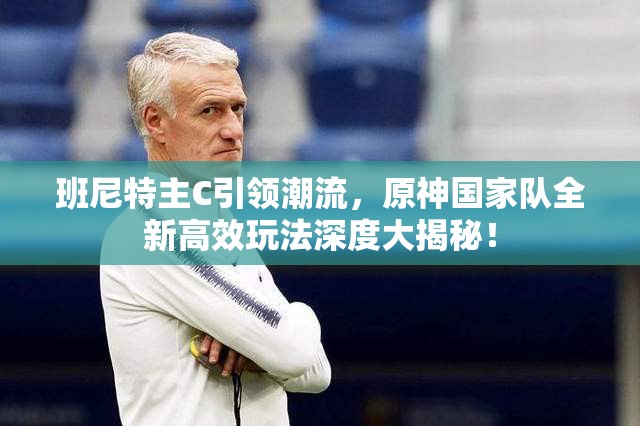 班尼特主C引领潮流，原神国家队全新高效玩法深度大揭秘！