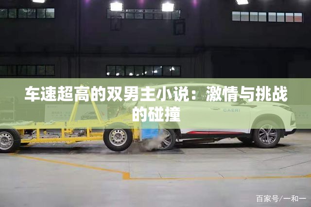 车速超高的双男主小说：激情与挑战的碰撞