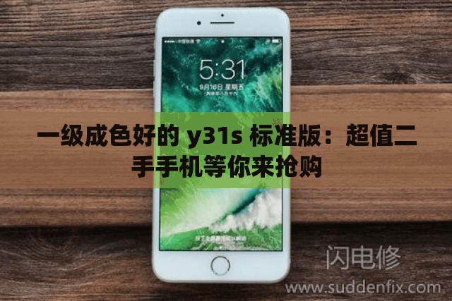 一级成色好的 y31s 标准版：超值二手手机等你来抢购
