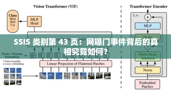 SSIS 类别第 43 页：网曝门事件背后的真相究竟如何？