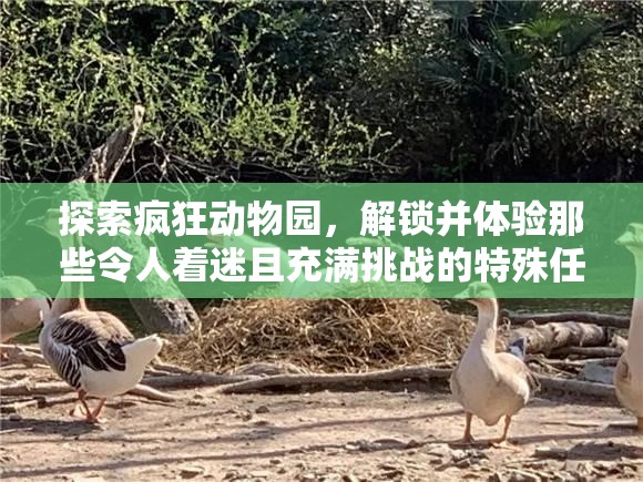 探索疯狂动物园，解锁并体验那些令人着迷且充满挑战的特殊任务