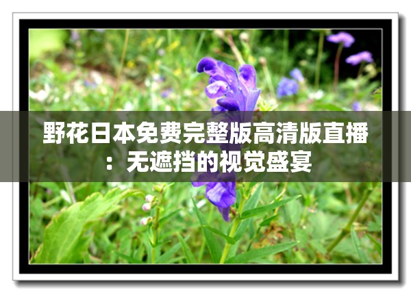 野花日本免费完整版高清版直播：无遮挡的视觉盛宴