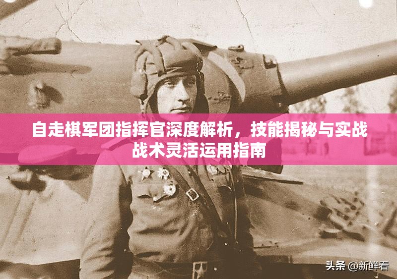 自走棋军团指挥官深度解析，技能揭秘与实战战术灵活运用指南