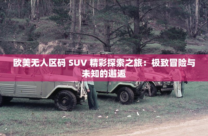 欧美无人区码 SUV 精彩探索之旅：极致冒险与未知的邂逅