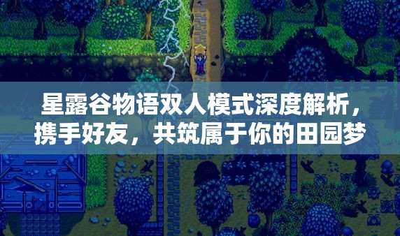 星露谷物语双人模式深度解析，携手好友，共筑属于你的田园梦想之旅