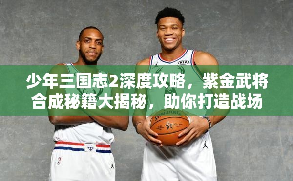 少年三国志2深度攻略，紫金武将合成秘籍大揭秘，助你打造战场上的无敌战将