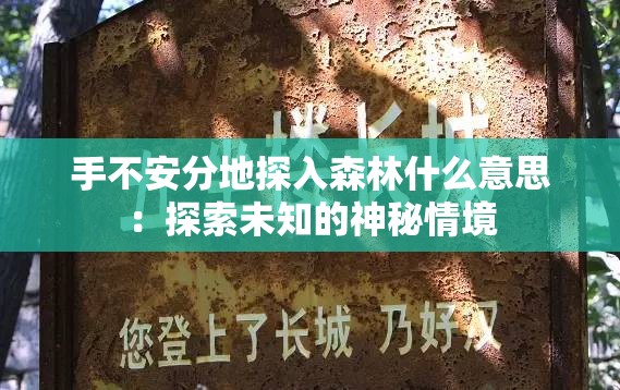 手不安分地探入森林什么意思：探索未知的神秘情境