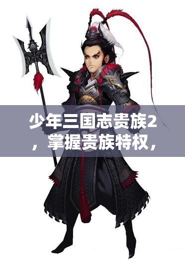 少年三国志贵族2，掌握贵族特权，解锁全新游戏世界的奇妙钥匙