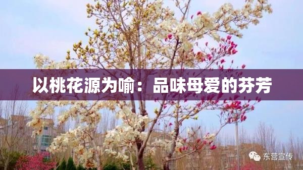 以桃花源为喻：品味母爱的芬芳