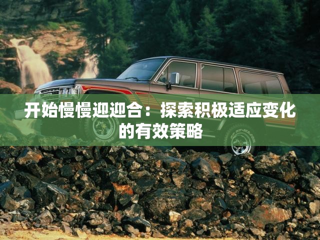 开始慢慢迎迎合：探索积极适应变化的有效策略