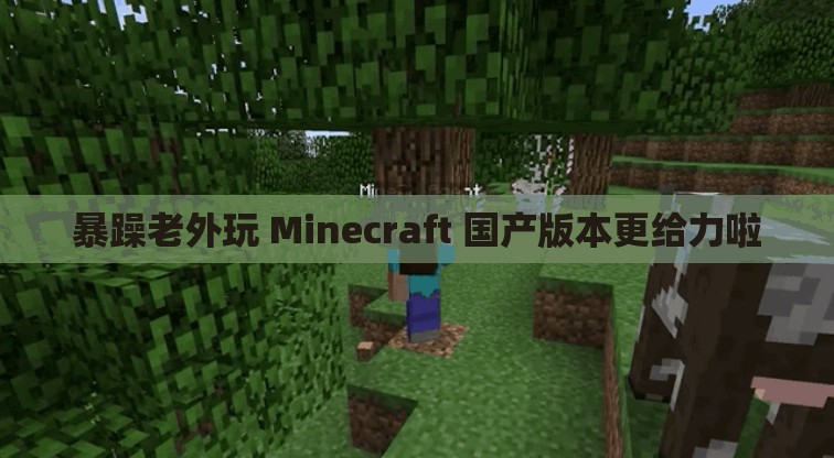 暴躁老外玩 Minecraft 国产版本更给力啦