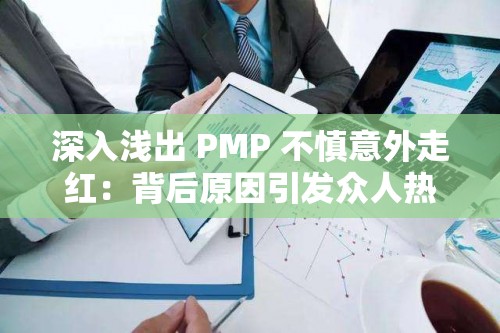 深入浅出 PMP 不慎意外走红：背后原因引发众人热议