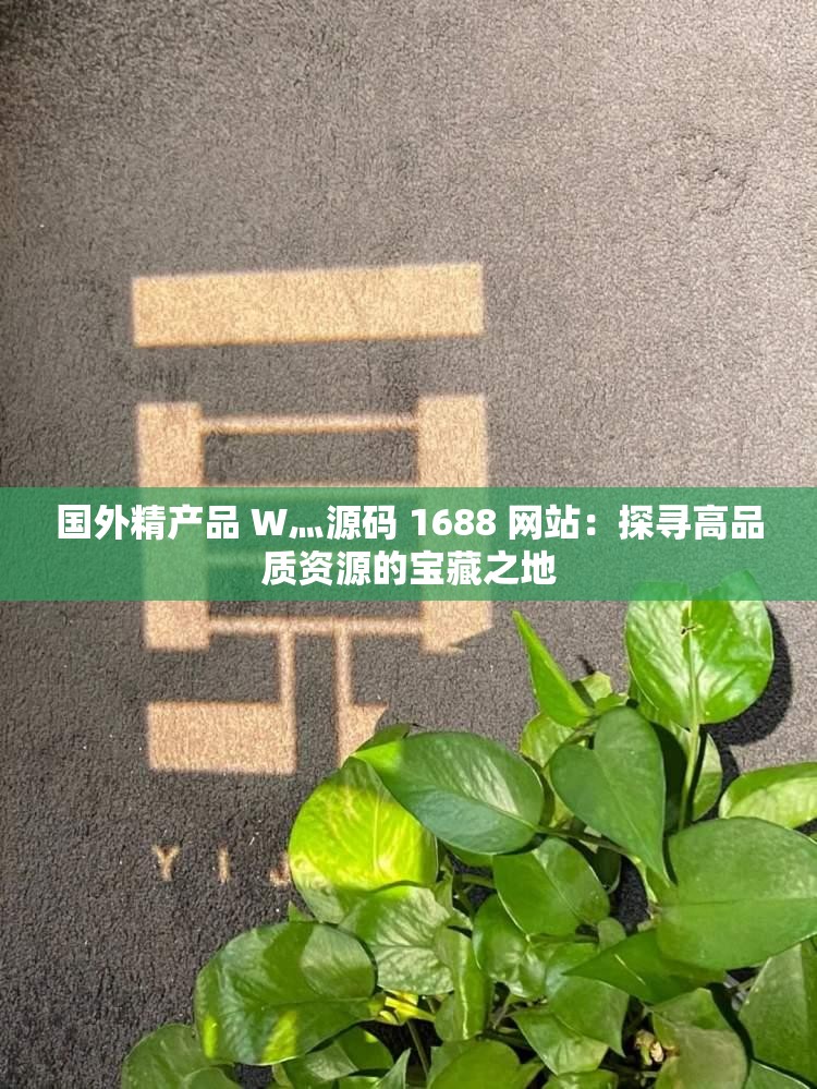 国外精产品 W灬源码 1688 网站：探寻高品质资源的宝藏之地