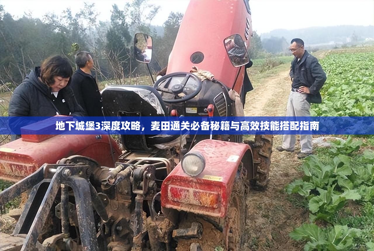 地下城堡3深度攻略，麦田通关必备秘籍与高效技能搭配指南