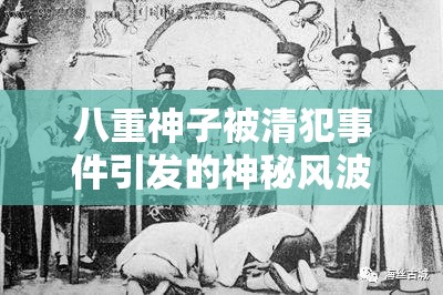 八重神子被清犯事件引发的神秘风波