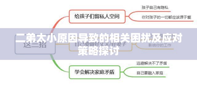 二弟太小原因导致的相关困扰及应对策略探讨