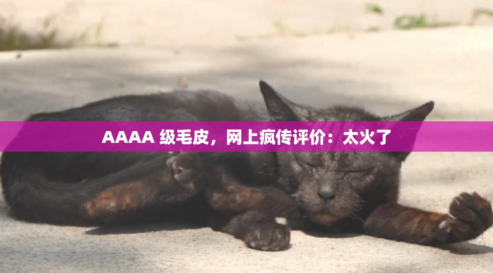 AAAA 级毛皮，网上疯传评价：太火了