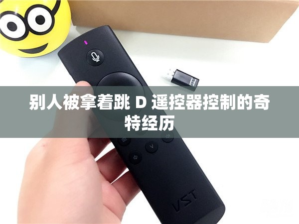 别人被拿着跳 D 遥控器控制的奇特经历