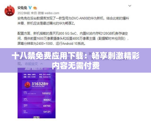 十八禁免费应用下载：畅享刺激精彩内容无需付费