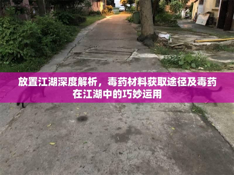放置江湖深度解析，毒药材料获取途径及毒药在江湖中的巧妙运用