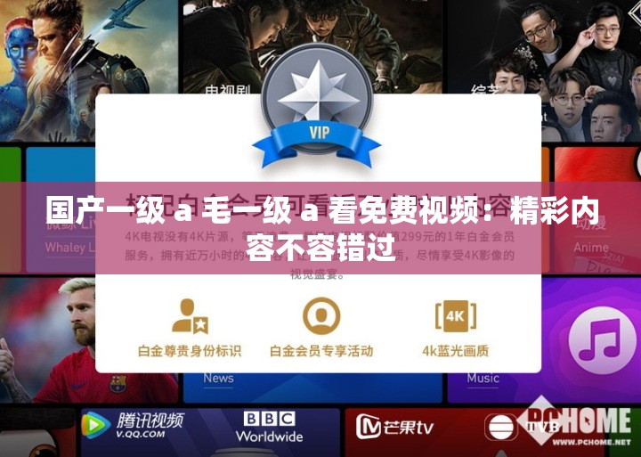 国产一级 a 毛一级 a 看免费视频：精彩内容不容错过