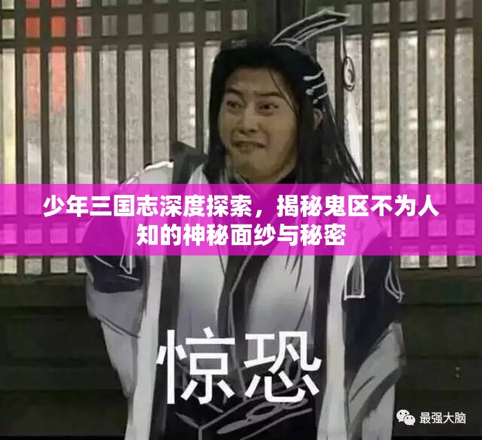 少年三国志深度探索，揭秘鬼区不为人知的神秘面纱与秘密