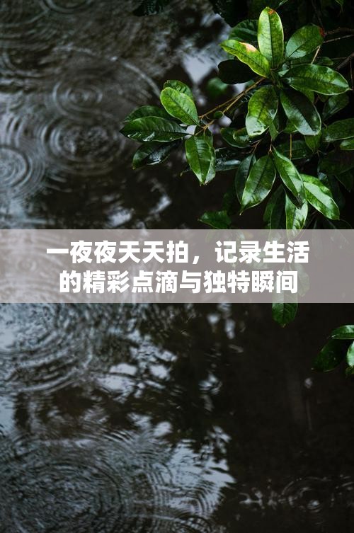 一夜夜天天拍，记录生活的精彩点滴与独特瞬间