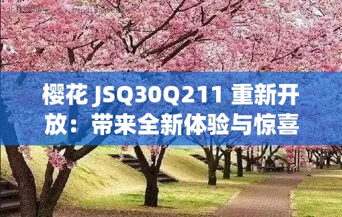 樱花 JSQ30Q211 重新开放：带来全新体验与惊喜