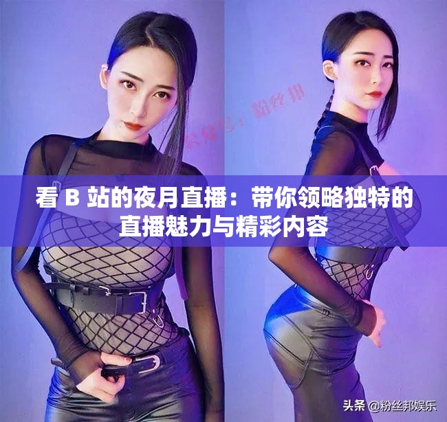 看 B 站的夜月直播：带你领略独特的直播魅力与精彩内容