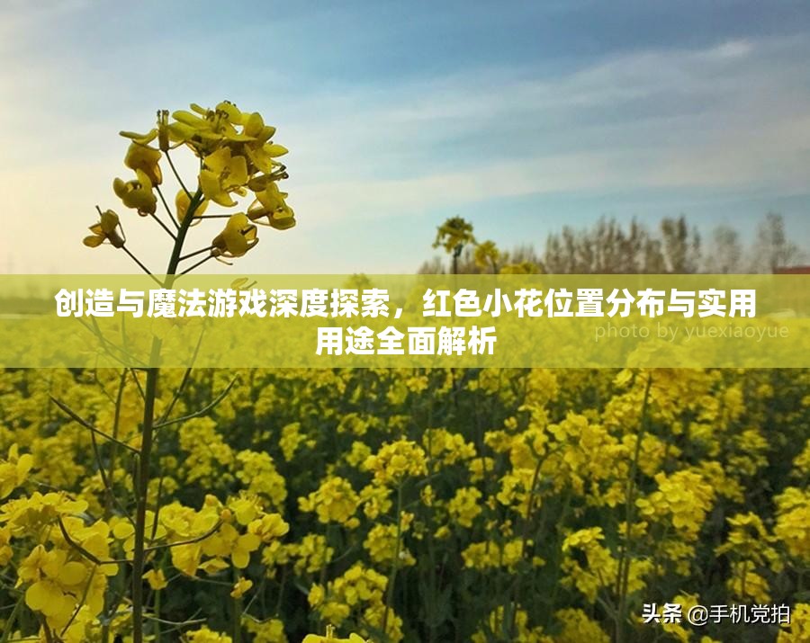 创造与魔法游戏深度探索，红色小花位置分布与实用用途全面解析