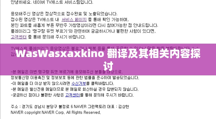 WasWasxaxkino 翻译及其相关内容探讨