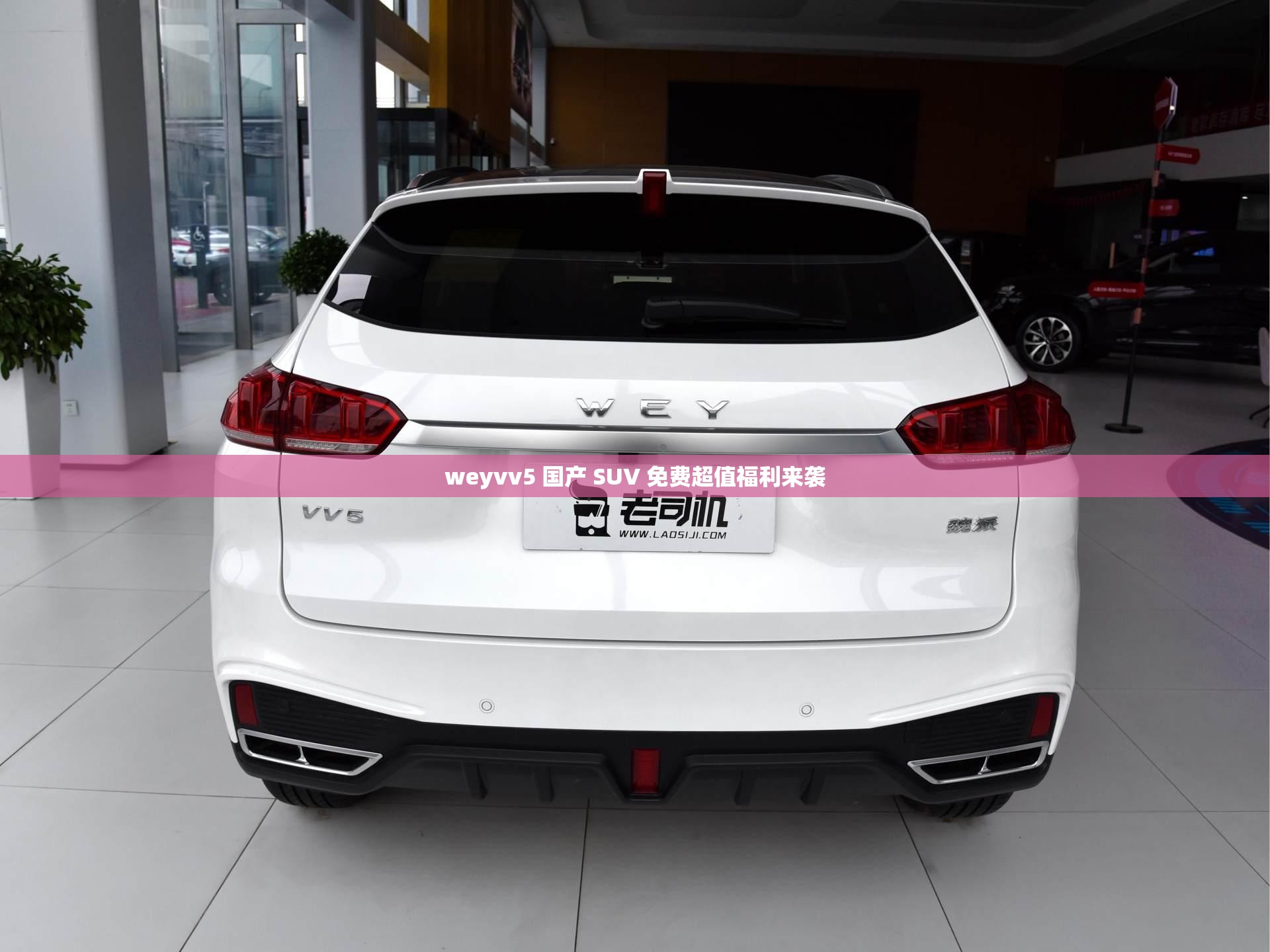 weyvv5 国产 SUV 免费超值福利来袭