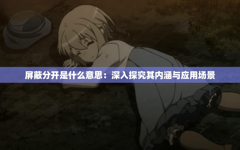 屏蔽分开是什么意思：深入探究其内涵与应用场景