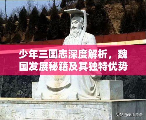 少年三国志深度解析，魏国发展秘籍及其独特优势全攻略